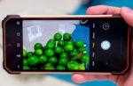 Обзор Blackview BV8800: превосходный и защищённый смартфон работяга Обзор Blackview BV8800: превосходный и защищённый смартфон работяга