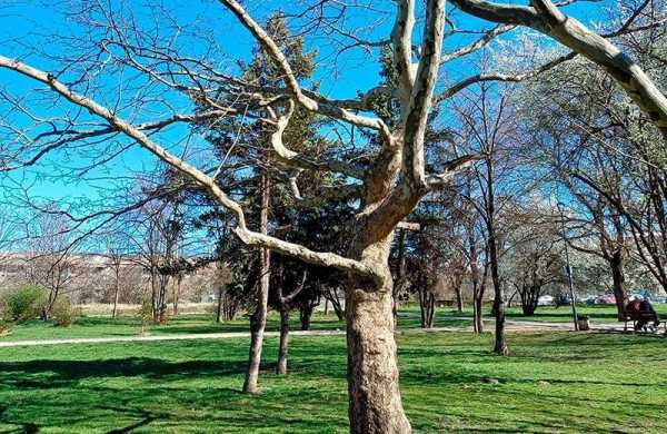 Обзор Samsung Galaxy A34 5G: смартфона в котором практичность и доступность важнее стиля Обзор Samsung Galaxy A34 5G: смартфона в котором практичность и доступность важнее стиля