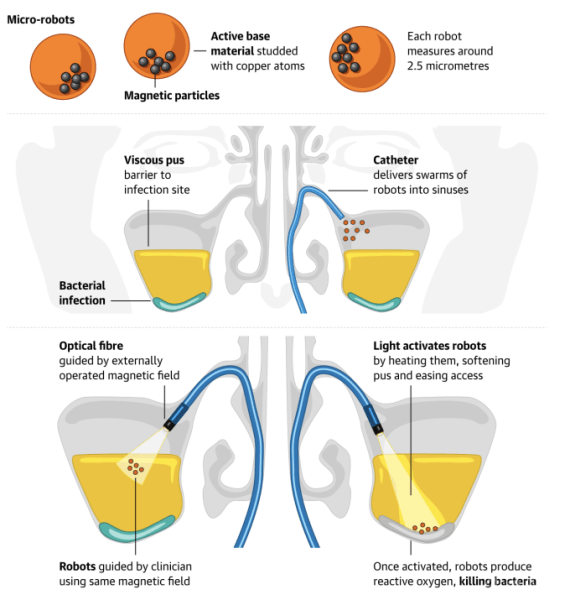 Созданы микророботы для борьбы с насморком (2 фото) Созданы микророботы для борьбы с насморком (2 фото)