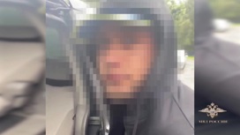 Силовики задержали двух москвичей, похитивших жителя Обнинска Силовики задержали двух москвичей, похитивших жителя Обнинска