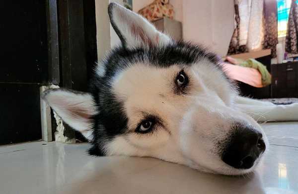 Обзор Samsung Galaxy Z Flip3 5G: высокотехнологичный раскладной смартфон стал дешевле Обзор Samsung Galaxy Z Flip3 5G: высокотехнологичный раскладной смартфон стал дешевле