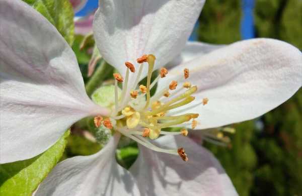 Обзор ZTE Nubia RedMagic 10 Air: игрового смартфона с тонким корпусом и скрытой мощью Обзор ZTE Nubia RedMagic 10 Air: игрового смартфона с тонким корпусом и скрытой мощью