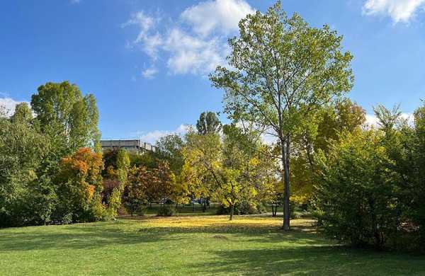 Обзор Apple iPhone 13 Pro: обновлённого смартфона для профессионалов Обзор Apple iPhone 13 Pro: обновлённого смартфона для профессионалов