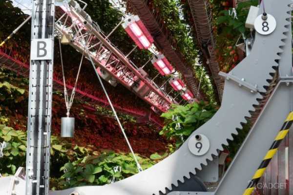 Dyson построила клубничную ферму будущего, полностью роботизированную (3 фото + видео) Dyson построила клубничную ферму будущего, полностью роботизированную (3 фото + видео)