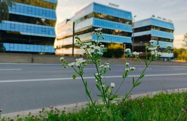 Обзор Infinix Note 40: почти премиум смартфона по бросовой цене Обзор Infinix Note 40: почти премиум смартфона по бросовой цене