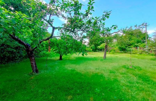 Обзор Realme X3 SuperZoom: непросто бюджетный флагман! Обзор Realme X3 SuperZoom: непросто бюджетный флагман!