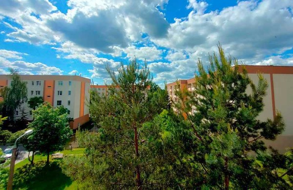 Обзор Realme X3 SuperZoom: непросто бюджетный флагман! Обзор Realme X3 SuperZoom: непросто бюджетный флагман!