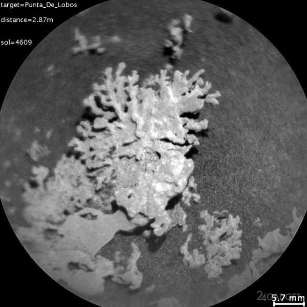 Марсоход NASA Curiosity нашёл на Марсе «коралл» возрастом в несколько миллиардов лет (2 фото) Марсоход NASA Curiosity нашёл на Марсе «коралл» возрастом в несколько миллиардов лет (2 фото)