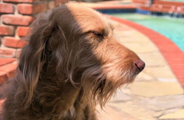 Обзор Huawei Pura 80 Ultra: смартфона с инновационными камерами, но не процессором Обзор Huawei Pura 80 Ultra: смартфона с инновационными камерами, но не процессором