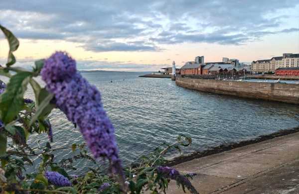 Обзор Nothing Phone (3): флагманского смартфона со вторым дисплеем Glyph Matrix Обзор Nothing Phone (3): флагманского смартфона со вторым дисплеем Glyph Matrix