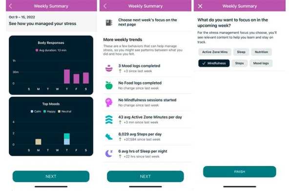 Обзор Fitbit Sense 2: удобные умные часы с ориентацией на функции мониторинга здоровья Обзор Fitbit Sense 2: удобные умные часы с ориентацией на функции мониторинга здоровья