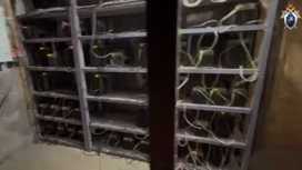 В Иркутске задержали майнера за хищение электричества на 16 млн рублей В Иркутске задержали майнера за хищение электричества на 16 млн рублей