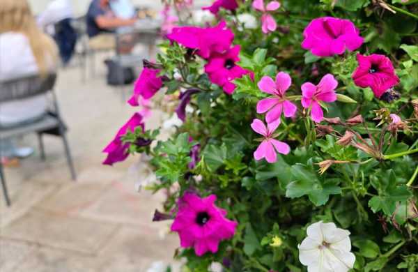 Обзор ZTE nubia Z70S Ultra: камерофона на стиле с ретро-дизайном Обзор ZTE nubia Z70S Ultra: камерофона на стиле с ретро-дизайном