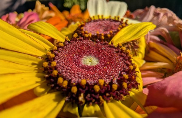 Обзор Google Pixel 10 Pro: флагманского смартфона для фанатов ИИ Обзор Google Pixel 10 Pro: флагманского смартфона для фанатов ИИ