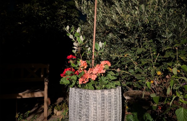 Обзор Google Pixel 10 Pro: флагманского смартфона для фанатов ИИ Обзор Google Pixel 10 Pro: флагманского смартфона для фанатов ИИ