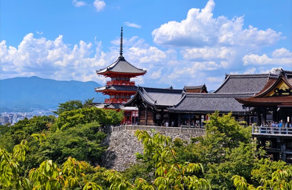 Обзор Vivo X Fold 5: превосходного гибрида смартфона и 8-дюймового планшета Обзор Vivo X Fold 5: превосходного гибрида смартфона и 8-дюймового планшета