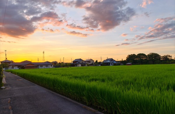 Обзор Vivo X Fold 5: превосходного гибрида смартфона и 8-дюймового планшета Обзор Vivo X Fold 5: превосходного гибрида смартфона и 8-дюймового планшета