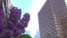 На "Госуслугах" стало возможно сообщить о проблемах с домашним интернетом На "Госуслугах" стало возможно сообщить о проблемах с домашним интернетом