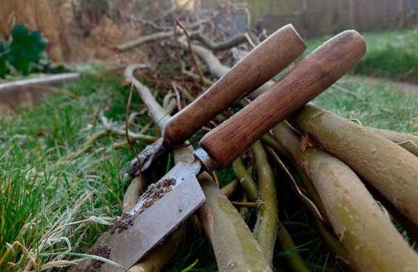 Обзор Nokia G21: медленный бюджетный смартфон с большой батареей Обзор Nokia G21: медленный бюджетный смартфон с большой батареей