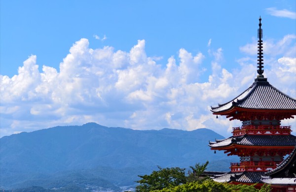 Обзор Vivo X Fold 5: превосходного гибрида смартфона и 8-дюймового планшета Обзор Vivo X Fold 5: превосходного гибрида смартфона и 8-дюймового планшета