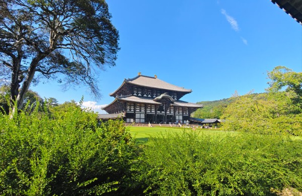 Обзор Vivo X Fold 5: превосходного гибрида смартфона и 8-дюймового планшета Обзор Vivo X Fold 5: превосходного гибрида смартфона и 8-дюймового планшета