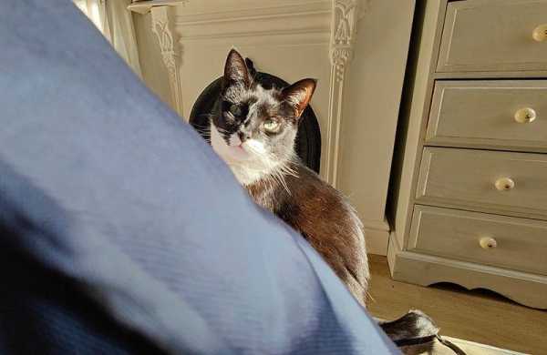 Обзор Nokia G21: медленный бюджетный смартфон с большой батареей Обзор Nokia G21: медленный бюджетный смартфон с большой батареей