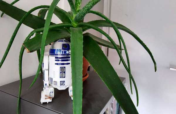 Обзор Nokia G21: медленный бюджетный смартфон с большой батареей Обзор Nokia G21: медленный бюджетный смартфон с большой батареей