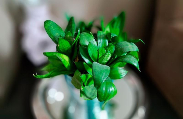 Обзор Nokia G21: медленный бюджетный смартфон с большой батареей Обзор Nokia G21: медленный бюджетный смартфон с большой батареей