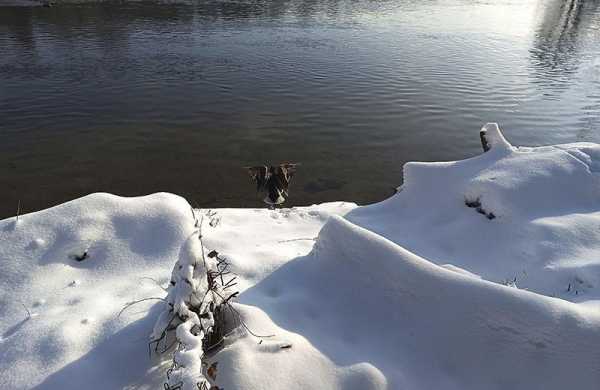 Обзор Ulefone Power Armor 18T: защищённого смартфона для профи с тепловизором Обзор Ulefone Power Armor 18T: защищённого смартфона для профи с тепловизором