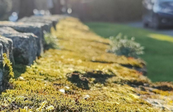 Обзор Nokia G21: медленный бюджетный смартфон с большой батареей Обзор Nokia G21: медленный бюджетный смартфон с большой батареей