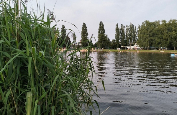 Обзор Oppo A78 4G: смартфона с массой преимуществ по адекватной стоимости Обзор Oppo A78 4G: смартфона с массой преимуществ по адекватной стоимости