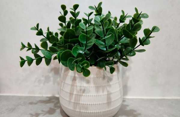 Обзор Motorola Edge 30 Pro: производительный смартфон достойный похвал Обзор Motorola Edge 30 Pro: производительный смартфон достойный похвал