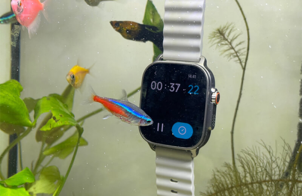 Обзор Realme Watch 5: дешёвый аналог Apple Watch с нужными функциями Обзор Realme Watch 5: дешёвый аналог Apple Watch с нужными функциями