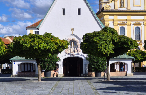 Обзор Samsung Galaxy S25 FE: чуть более доступного смартфона, не уступающего флагманам Обзор Samsung Galaxy S25 FE: чуть более доступного смартфона, не уступающего флагманам