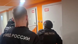 "Сбер": 96% россиян сталкивались с мошенничеством в цифровой сфере "Сбер": 96% россиян сталкивались с мошенничеством в цифровой сфере