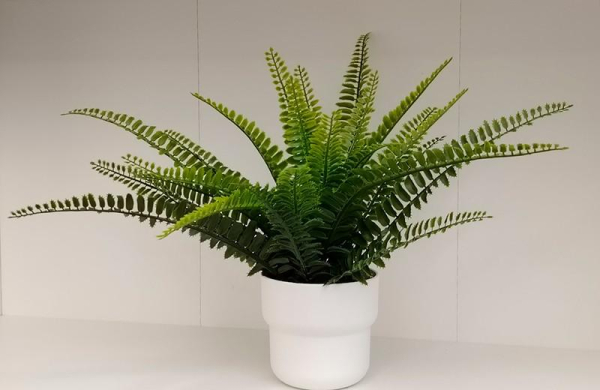 Обзор HONOR X8b: смартфона с великолепным дизайном и экраном Dynamic Island Обзор HONOR X8b: смартфона с великолепным дизайном и экраном Dynamic Island