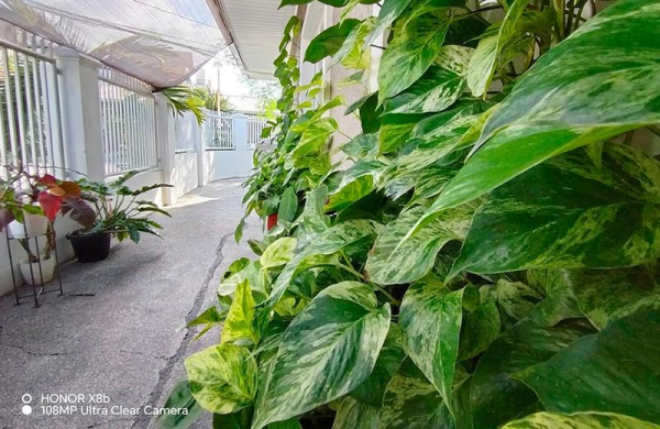 Обзор HONOR X8b: смартфона с великолепным дизайном и экраном Dynamic Island Обзор HONOR X8b: смартфона с великолепным дизайном и экраном Dynamic Island