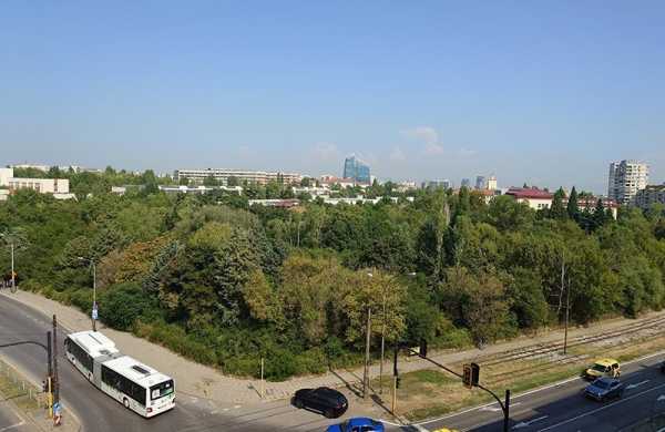 Обзор Sony Xperia 5 V: лучшего компактного смартфона для съёмки если бы не цена Обзор Sony Xperia 5 V: лучшего компактного смартфона для съёмки если бы не цена