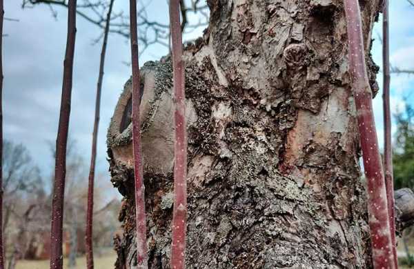 Обзор Motorola Edge 30 Pro: производительный смартфон достойный похвал Обзор Motorola Edge 30 Pro: производительный смартфон достойный похвал