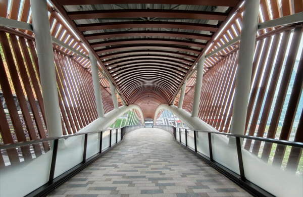 Обзор Vivo X300 Pro: лучшего смартфона для мобильной съёмки Обзор Vivo X300 Pro: лучшего смартфона для мобильной съёмки