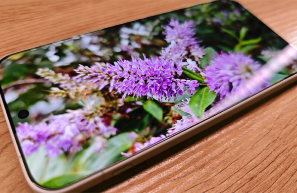 Обзор OnePlus 15: хорошего флагманского смартфона с выгодной ценой Обзор OnePlus 15: хорошего флагманского смартфона с выгодной ценой