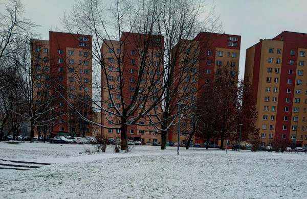 Обзор Motorola Moto G31: отличный доступный смартфон для повседневных задач Обзор Motorola Moto G31: отличный доступный смартфон для повседневных задач