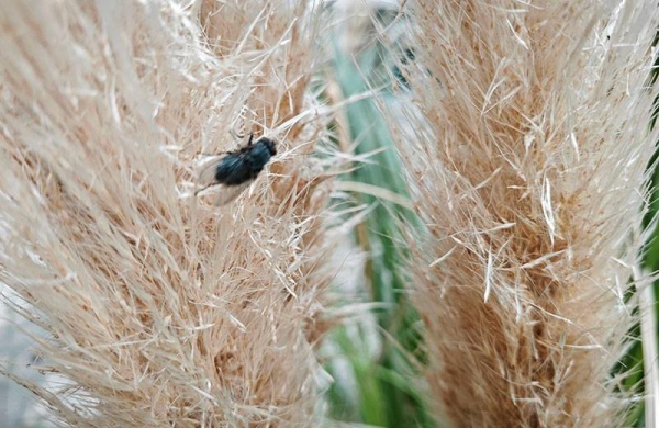 Обзор Xiaomi 13: почти идеального смартфона флагмана с компактным дизайном Обзор Xiaomi 13: почти идеального смартфона флагмана с компактным дизайном