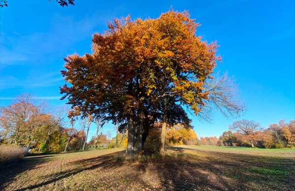 Обзор ZTE Nubia RedMagic 11 Pro: игрового смартфона на SD 8 Elite Gen 5 Обзор ZTE Nubia RedMagic 11 Pro: игрового смартфона на SD 8 Elite Gen 5