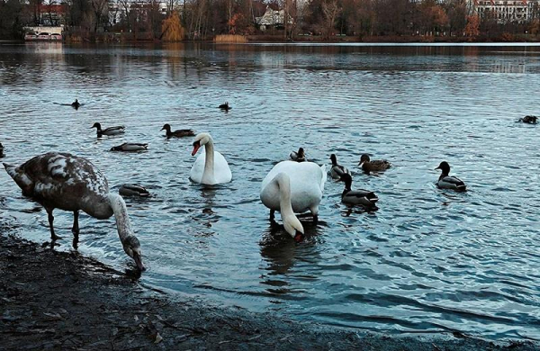 Обзор Xiaomi 13: почти идеального смартфона флагмана с компактным дизайном Обзор Xiaomi 13: почти идеального смартфона флагмана с компактным дизайном