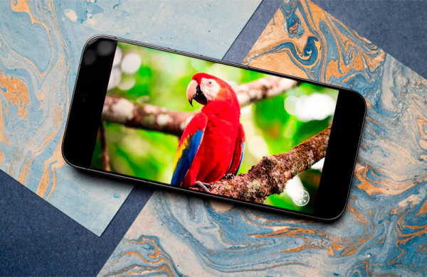 Обзор Vivo X300 Pro: лучшего смартфона для мобильной съёмки Обзор Vivo X300 Pro: лучшего смартфона для мобильной съёмки