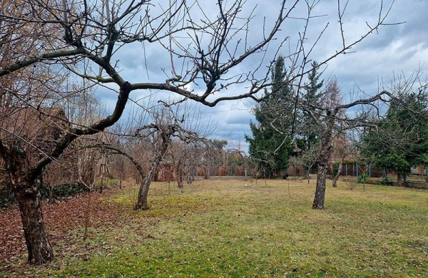 Обзор Samsung Galaxy S22 Plus: мощный Android-смартфон стал более универсальным Обзор Samsung Galaxy S22 Plus: мощный Android-смартфон стал более универсальным