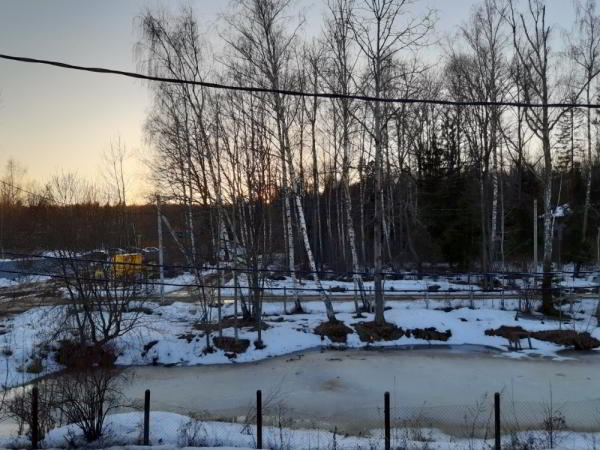 Какой смартфон снимает лучше: фототест для Redmi Note 7, Samsung Galaxy A30 и Honor 10 Lite Какой смартфон снимает лучше: фототест для Redmi Note 7, Samsung Galaxy A30 и Honor 10 Lite