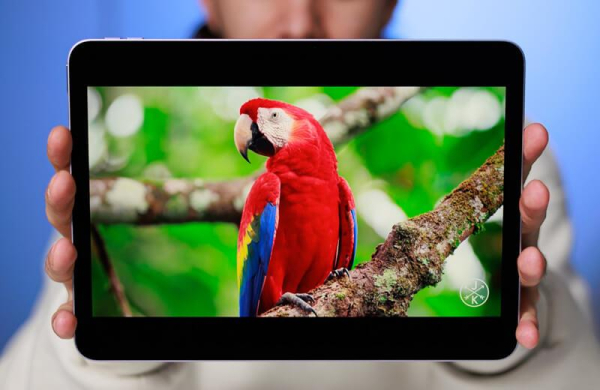 Обзор Apple iPad Air 11 (2025): мощного планшета с производительностью уровня ПК