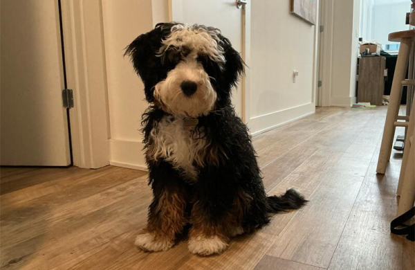 Обзор Apple iPad Air 11 (2025): мощного планшета с производительностью уровня ПК